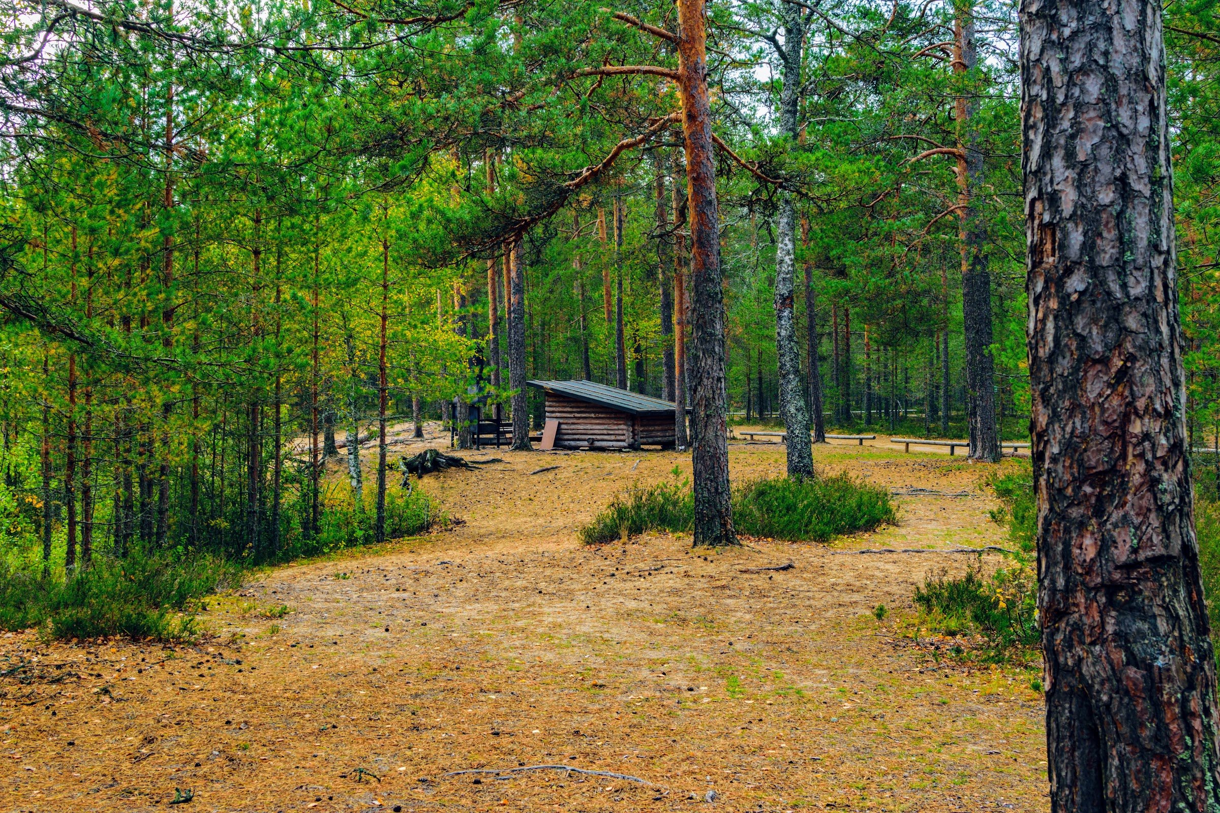 RMK Kalmeoja Lõkkekoht